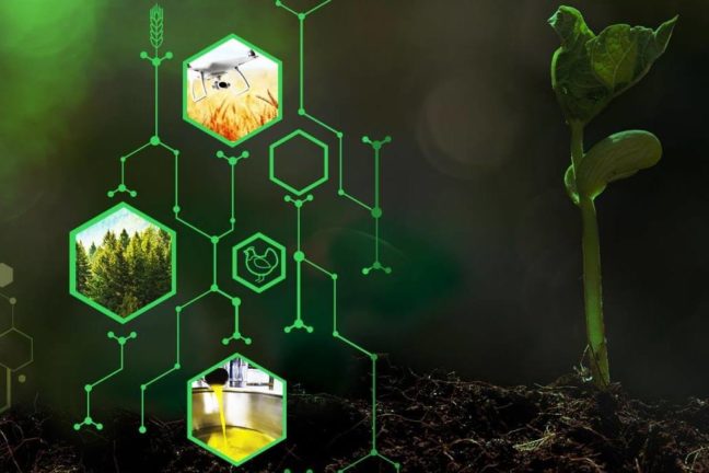 20180717005049-slide1-horizontal (1)